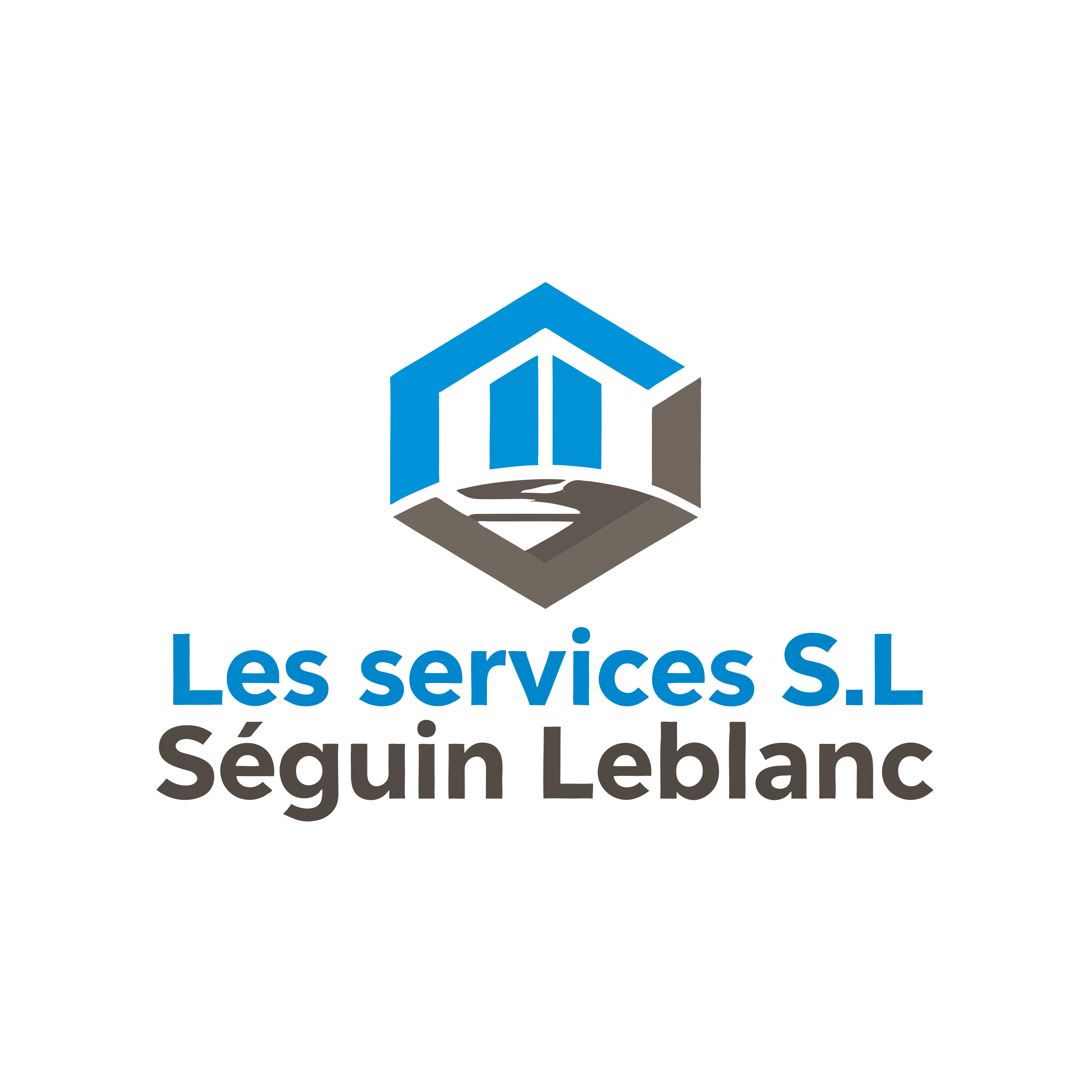 Les services S.L Séguin-Leblanc