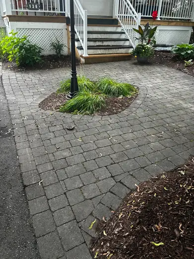 Avant — Job de pavé réussi chez un deuxième client cette semaine. semaine prochaine, sealant d’asphalte à faire 🔥